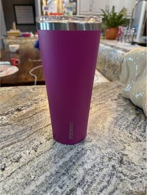 Corkcicle Stainless Steel Insulated Tumbler 20oz Matte Purple